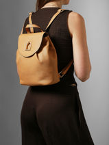 Backpack Shadow Etrier Yellow shadow ESHA165M-vue-porte